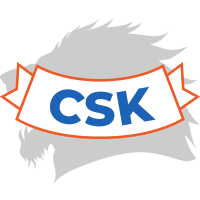 chennai super kings cricket logo
