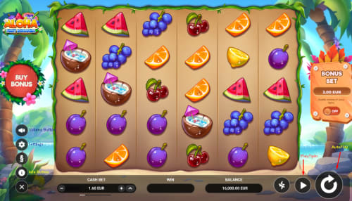 Fruit Bonanza Slot Game