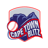 CTB Cricket Logo