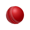 DG Cricket Logo