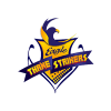 ETS Cricket Logo
