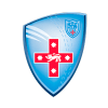 NSB Cricket Logo