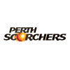PERW Cricket Logo