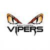 SV Cricket Logo