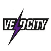 VLY Cricket Logo