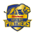 Madurai Panthers Cricket Logo